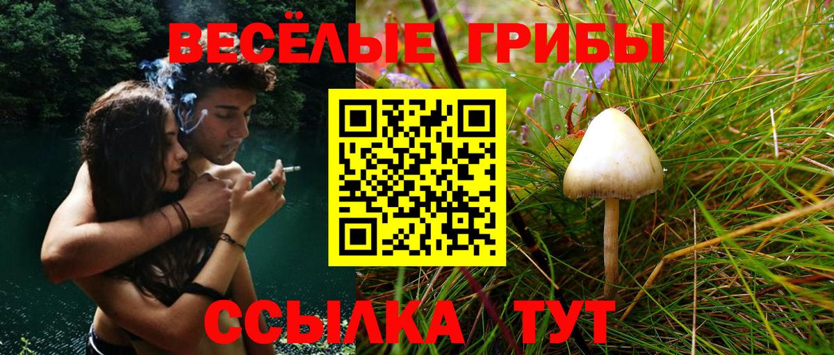 Якутск  Псилоцибиновые грибы Psilocybe  Вход с VPN 